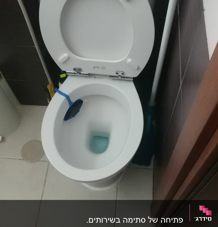 אסלה עם מברשת ניקוי כחולה ומיכל הדחה